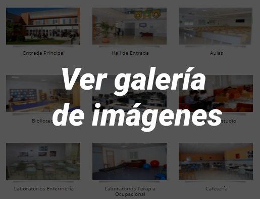 Ver Galeria
